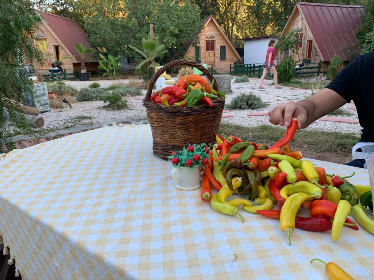 Pusula Bungalow Otel Kayakoy Εξωτερικό φωτογραφία