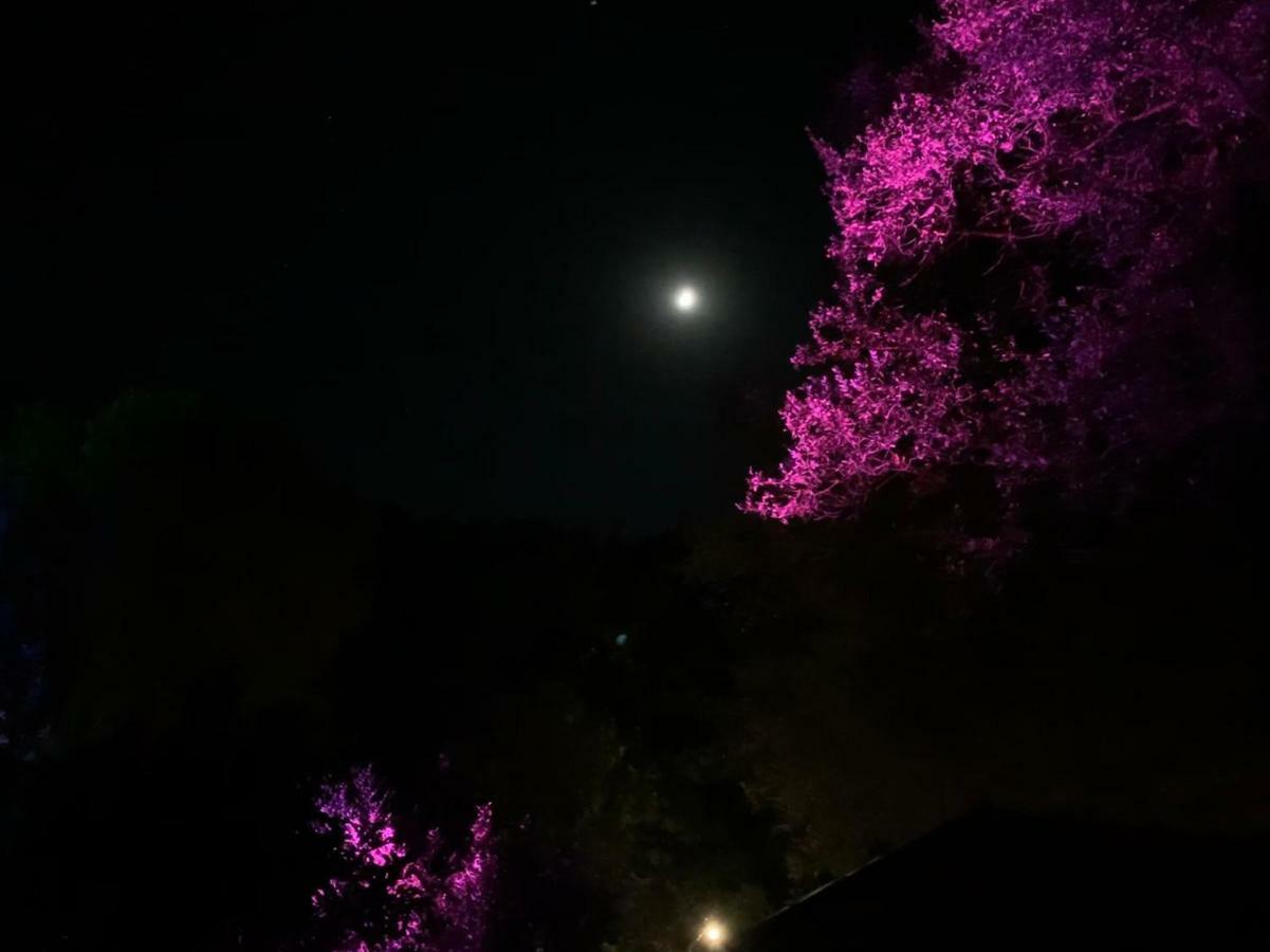 Pusula Bungalow Otel Kayakoy Εξωτερικό φωτογραφία